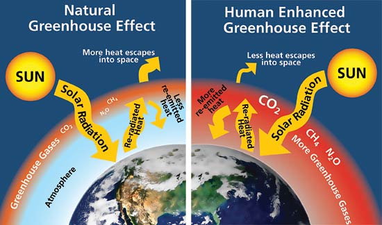 Greenhouse Effect Climate Theory